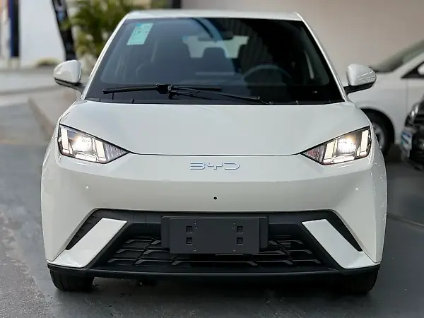 BYD Dolphin Mini - Imagem 18