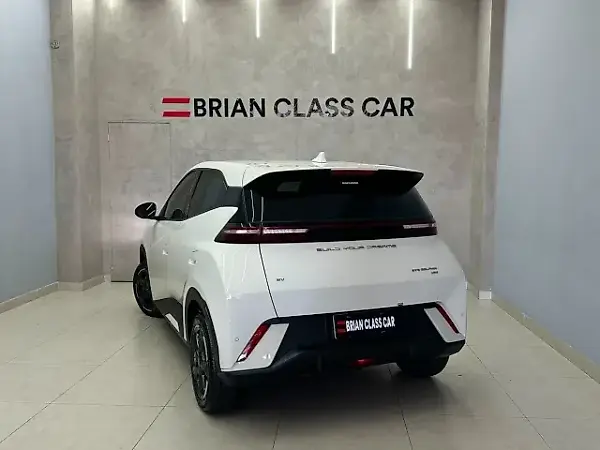 BYD Dolphin Mini - Imagem 5