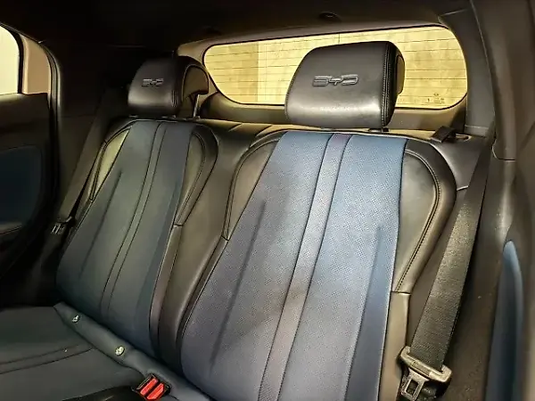 BYD Dolphin Mini - Imagem 12