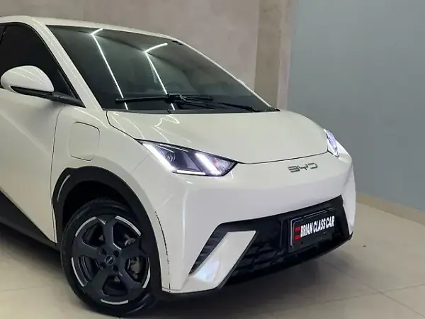BYD Dolphin Mini - Imagem 14