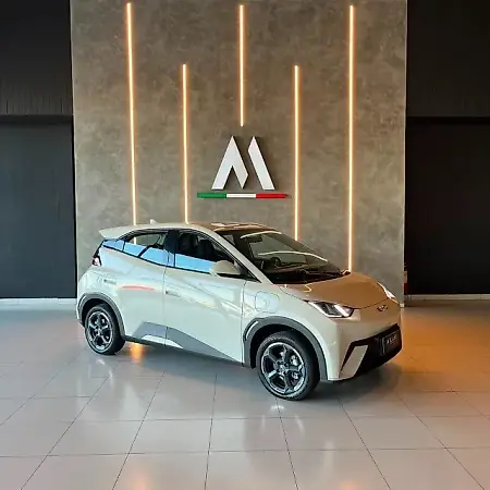BYD Dolphin Mini - Imagem 1
