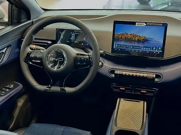 BYD Dolphin Mini - Imagem 10