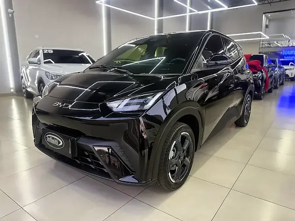 BYD Dolphin Mini - Imagem 1