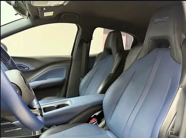 BYD Dolphin Mini - Imagem 4