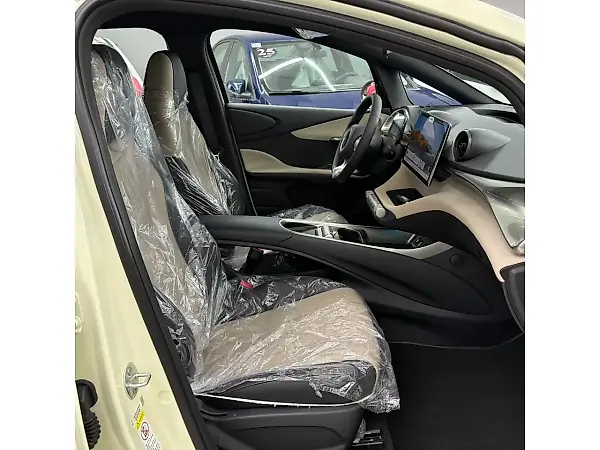 BYD Dolphin - Imagem 11