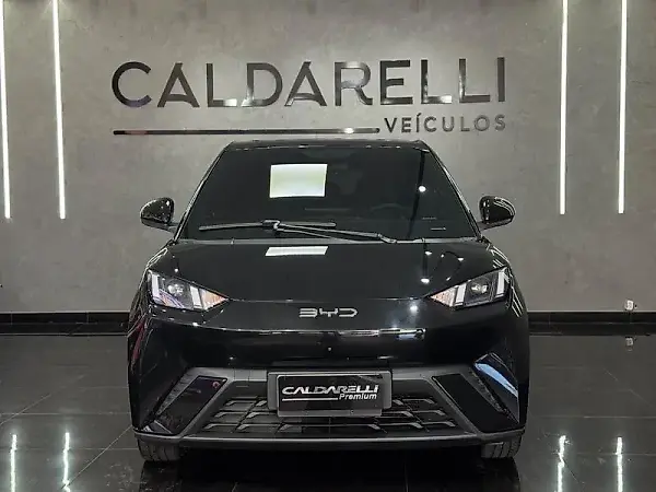 BYD Dolphin - Imagem 2