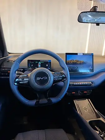BYD Dolphin Mini - Imagem 6