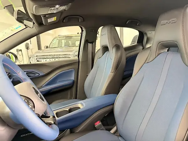BYD Dolphin Mini - Imagem 8