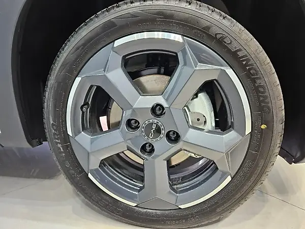 BYD Dolphin Mini - Imagem 18