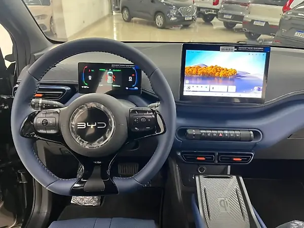 BYD Dolphin Mini - Imagem 14