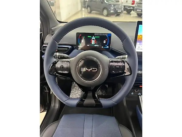 BYD Dolphin Mini - Imagem 15