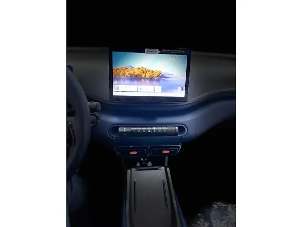 BYD Dolphin Mini - Imagem 17
