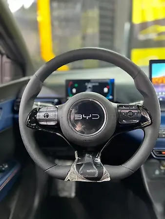 BYD Dolphin Mini - Imagem 6
