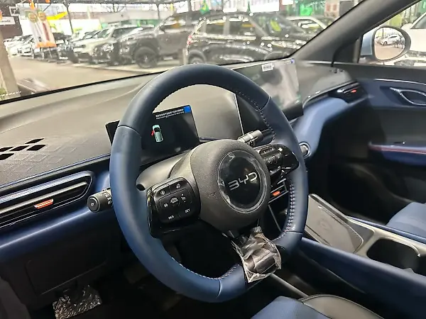 BYD Dolphin Mini - Imagem 11