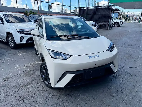 BYD Dolphin Mini - Imagem 15