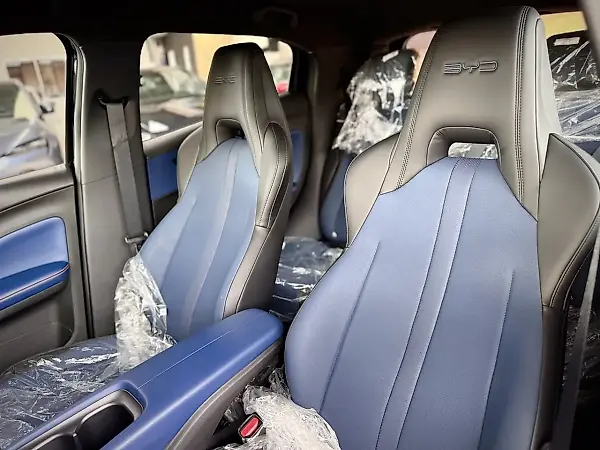 BYD Dolphin - Imagem 15