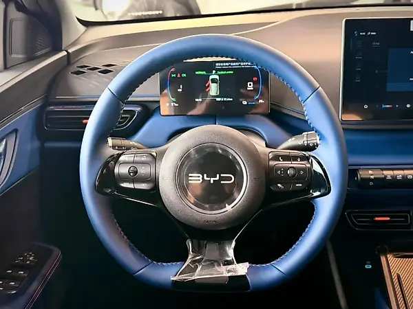 BYD Dolphin Mini - Imagem 15