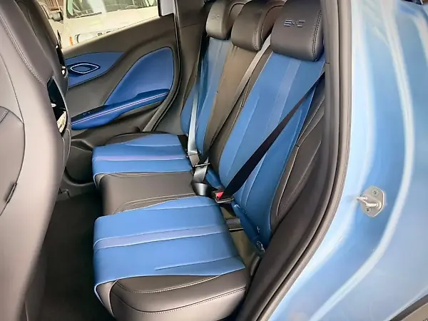 BYD Dolphin Mini - Imagem 18