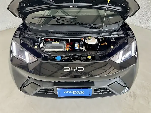 BYD Dolphin Mini - Imagem 6