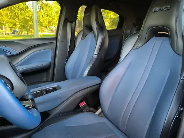 BYD Dolphin Mini - Imagem 4