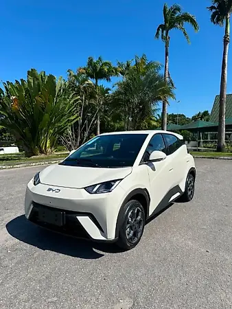 BYD Dolphin Mini - Imagem 1