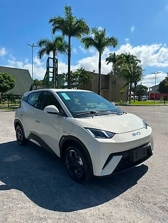BYD Dolphin Mini - Imagem 3