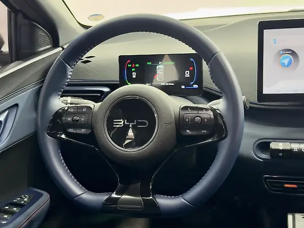 BYD Dolphin Mini - Imagem 8