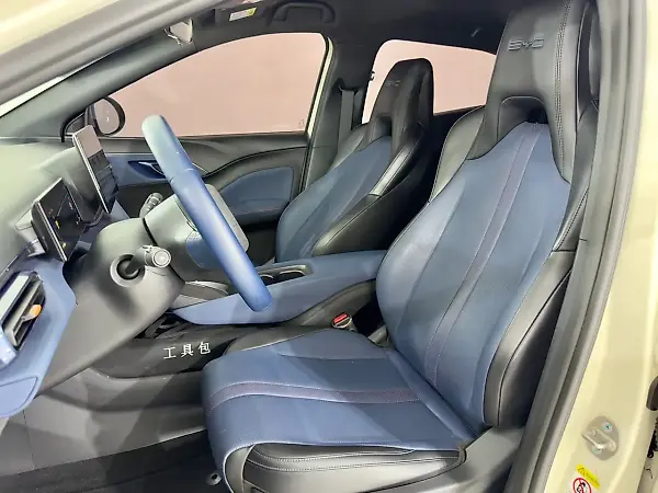 BYD Dolphin Mini - Imagem 10