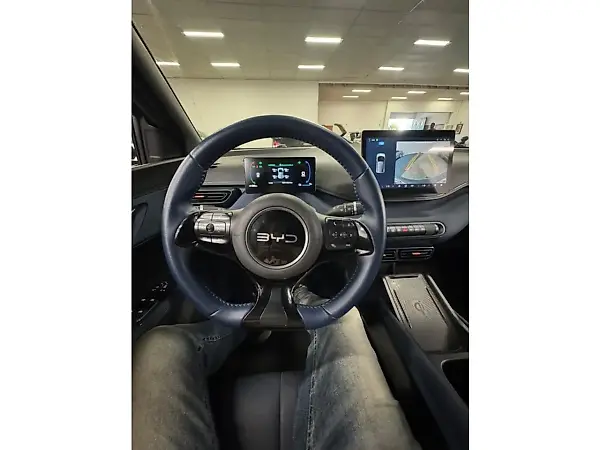 BYD Dolphin Mini - Imagem 8