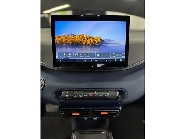 BYD Dolphin Mini - Imagem 11