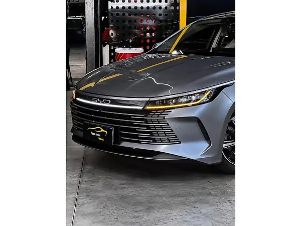 BYD King - Imagem 2