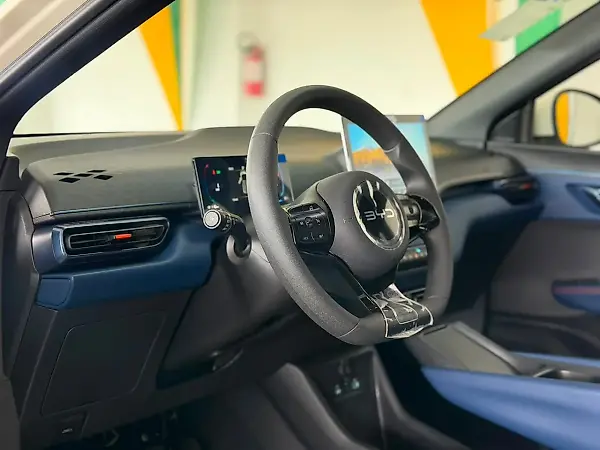 BYD Dolphin Mini - Imagem 12