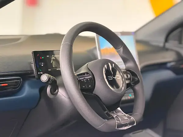 BYD Dolphin Mini - Imagem 13