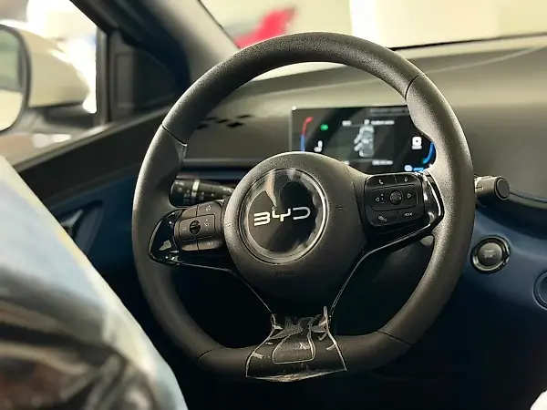 BYD Dolphin Mini - Imagem 15
