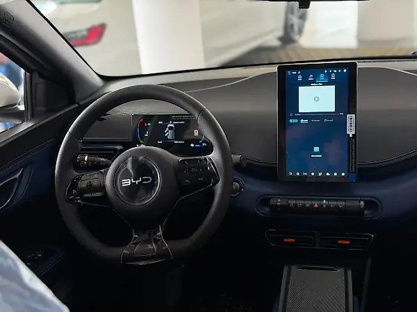 BYD Dolphin Mini - Imagem 17