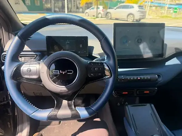 BYD Dolphin Mini - Imagem 12