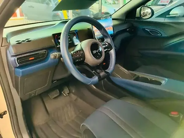 BYD Dolphin Mini - Imagem 9