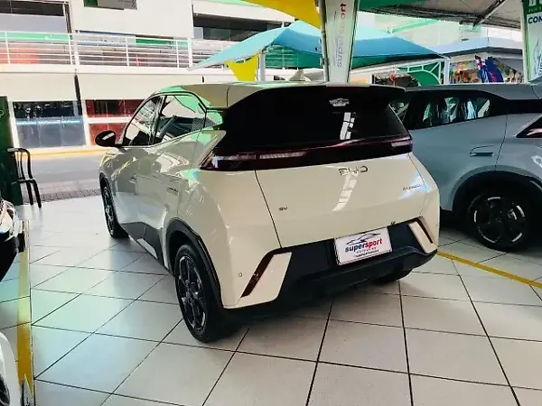 BYD Dolphin Mini - Imagem 13