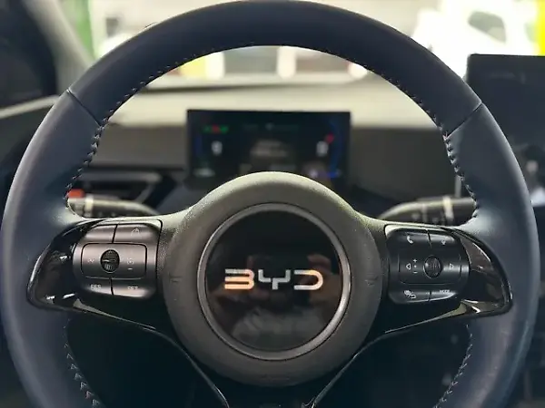 BYD Dolphin Mini - Imagem 4