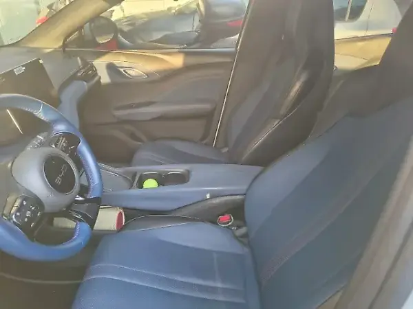 BYD Dolphin Mini - Imagem 9