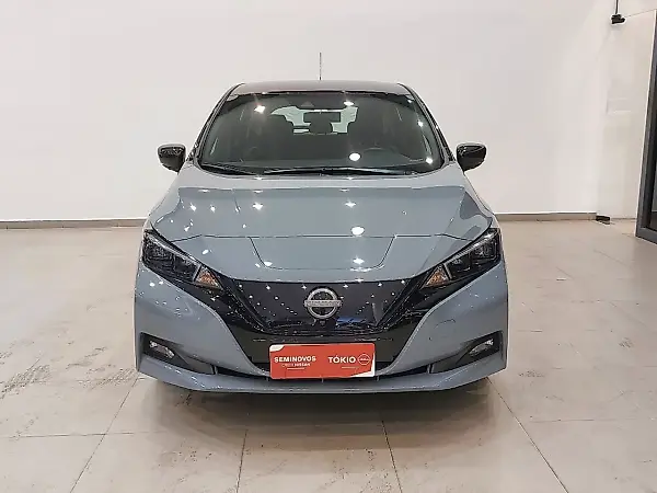 Nissan Leaf - Imagem 1
