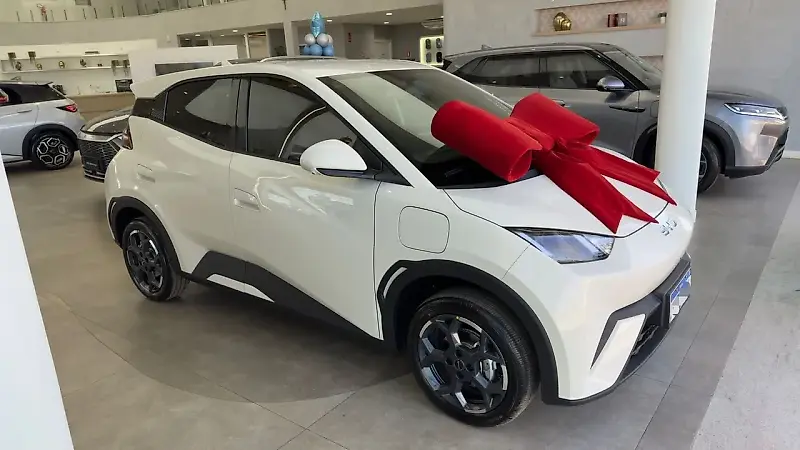 BYD Dolphin Mini - Imagem 1