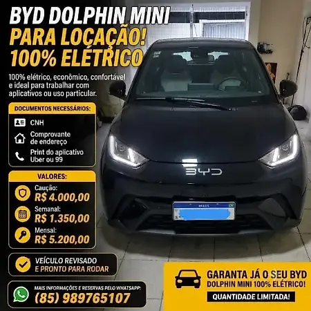 BYD Dolphin Mini - Imagem 1