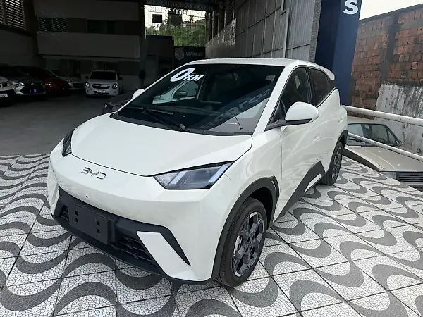 BYD Dolphin Mini - Imagem 1