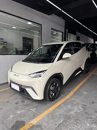 BYD Dolphin Mini - Imagem 1