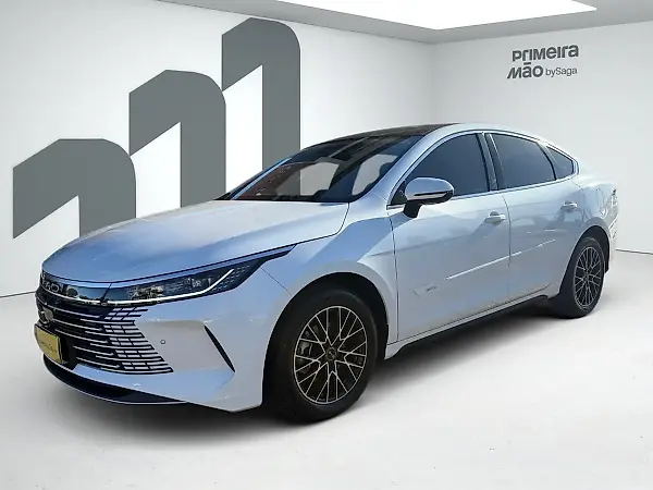 BYD King - Imagem 1