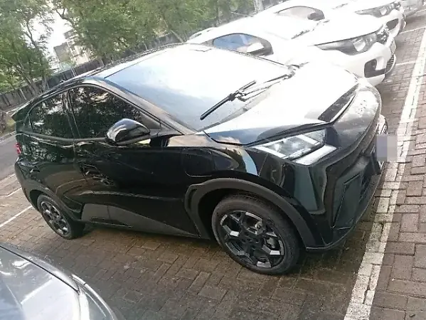 BYD Dolphin Mini - Imagem 1