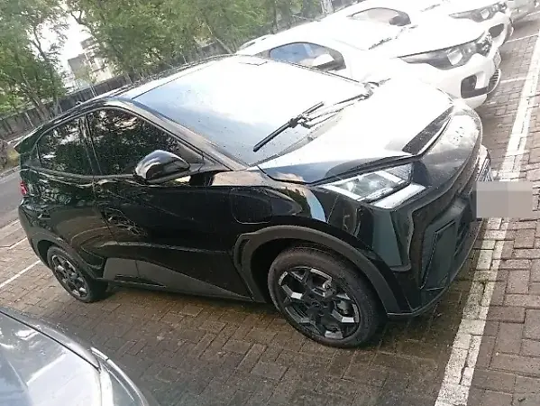 BYD Dolphin Mini - Imagem 1