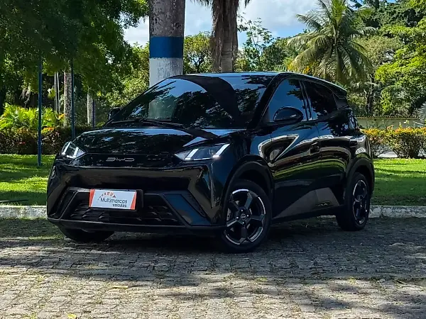 BYD Dolphin Mini - Imagem 1