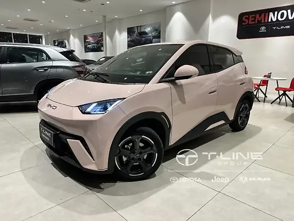 BYD Dolphin Mini - Imagem 1